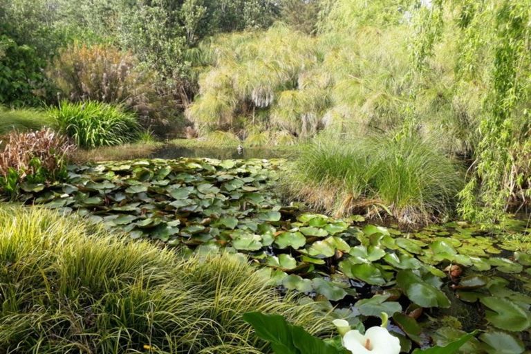 Photo of property in 384 Tara Road, Mangawhai, Kaiwaka, 0573