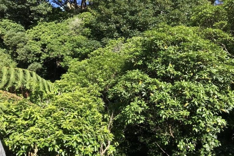 Photo of property in 72 Oban Street, Wadestown, Wellington, 6012