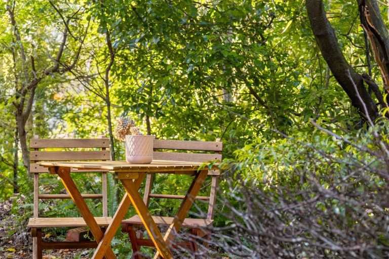 Photo of property in 60 Leinster Avenue, Raumati South, Paraparaumu, 5032