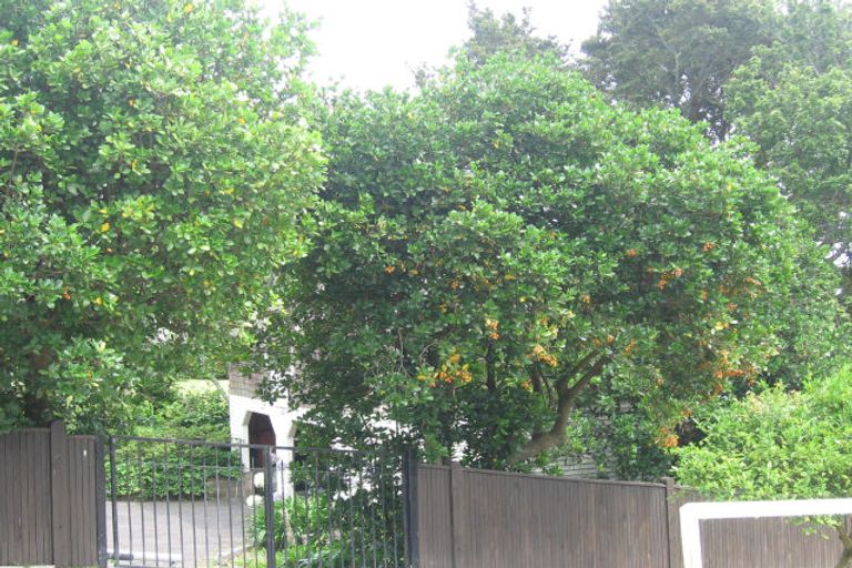 Photo of property in 8 Eastbourne Road, Remuera, Auckland, 1050