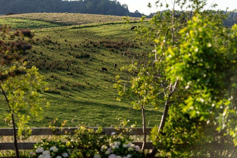 Photo of property in 44 Arone Way, Wainui, Silverdale, 0994