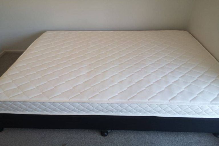 Photo of property in 1/2 Scotland Place, Hillcrest, Hamilton, 3216