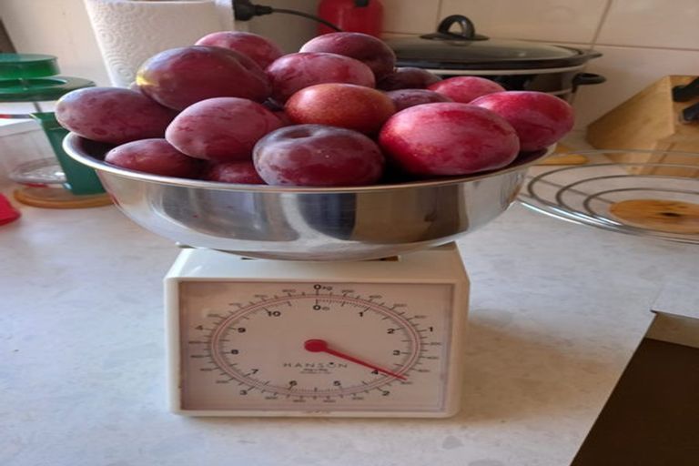 Photo of property in 40 Leafield Crescent, Henderson, Auckland, 0612