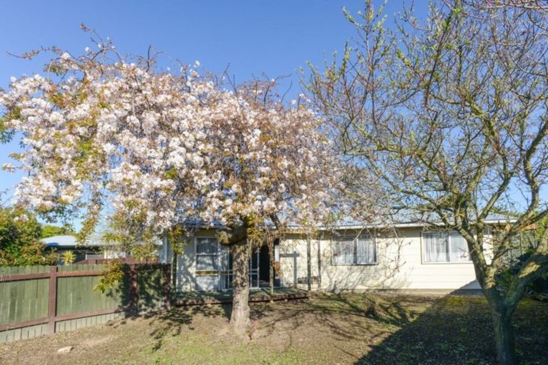 Photo of property in 7 Balta Street, Flaxmere, Hastings, 4120