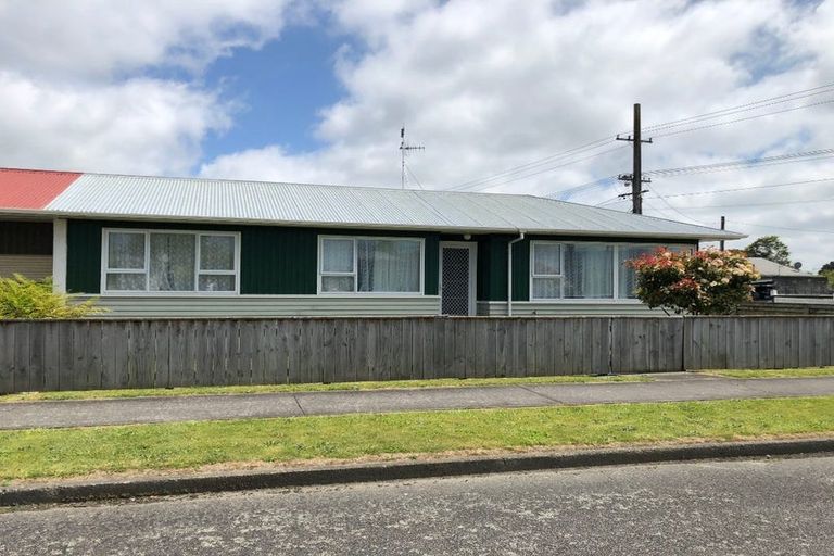 Photo of property in 21 Mako Mako Road, Levin, 5510