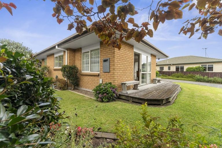 Photo of property in 48b Emmett Street, Greerton, Tauranga, 3112