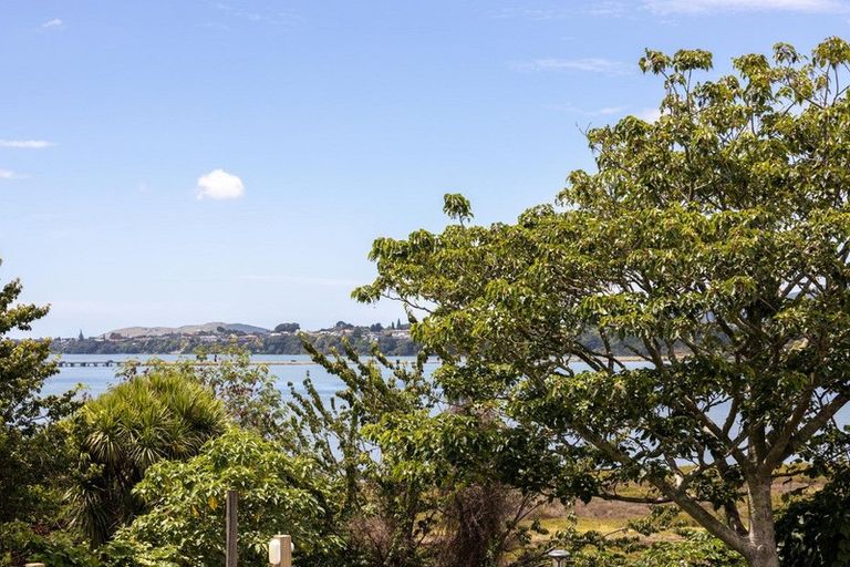 Photo of property in 46 Hampton Terrace, Parkvale, Tauranga, 3112