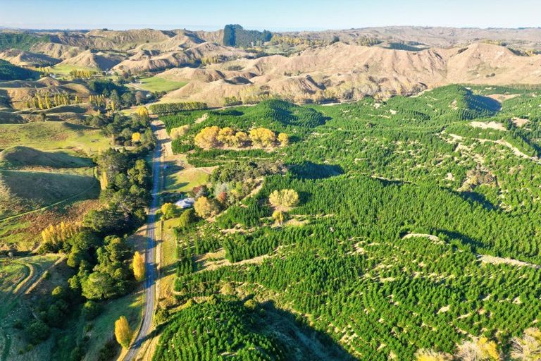 Photo of property in 751 Ongo Road, Hunterville, 4782