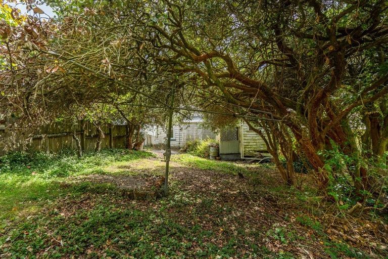 Photo of property in 19 Saint Leonards Road, Devonport, Auckland, 0624