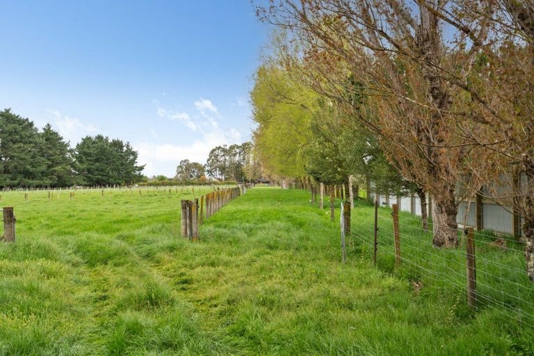Photo of property in 47 Donalds Road, Upper Plain, Masterton, 5888