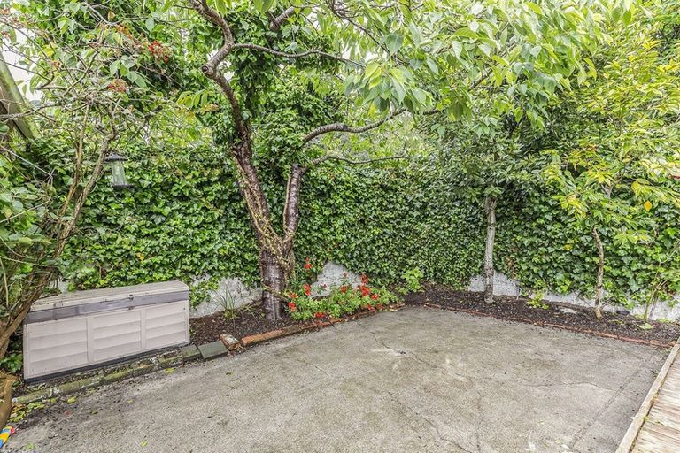 Photo of property in 121 Aro Street, Aro Valley, Wellington, 6021