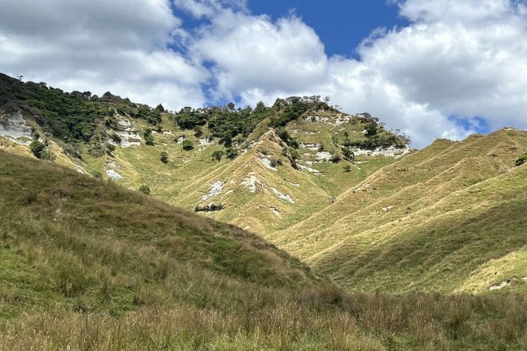 Photo of property in 10 Vera Road, Te Atatu South, Auckland, 0610