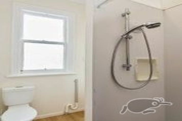 Photo of property in 24a Colombo Street, Newtown, Wellington, 6021