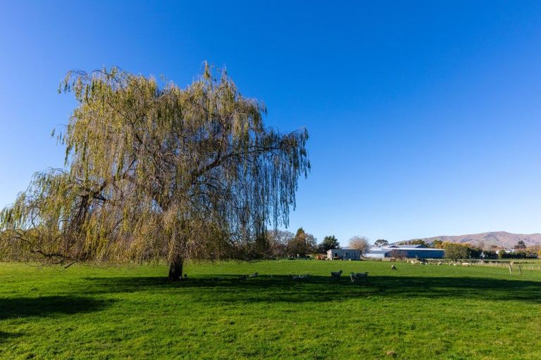 Photo of property in 33 Severne Street, Yelverton, Blenheim, 7201