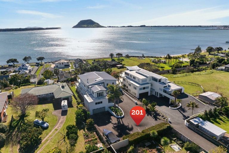 Photo of property in 201a Ngatai Road, Otumoetai, Tauranga, 3110
