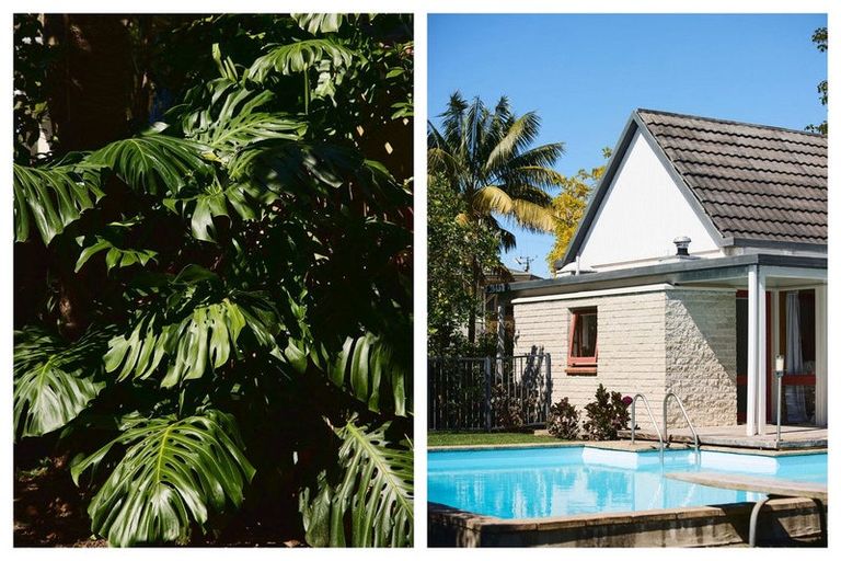 Photo of property in 57 Smiths Road, Matua, Tauranga, 3110