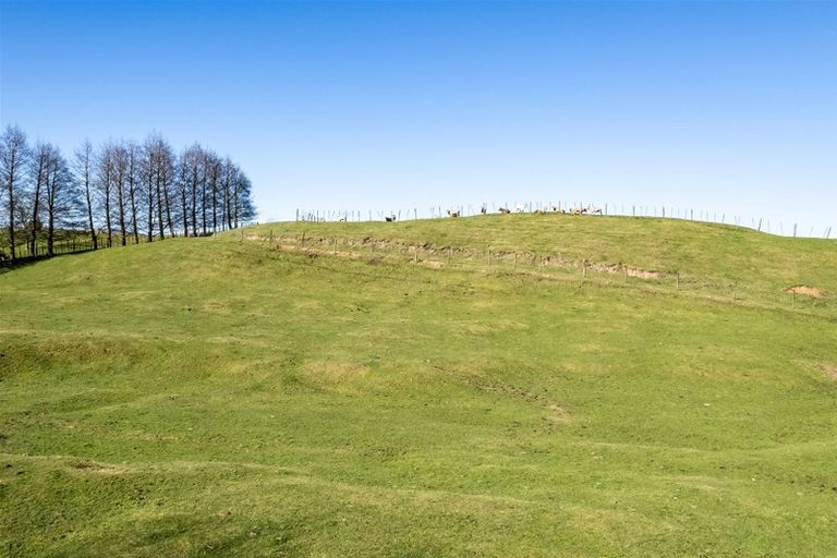 Photo of property in 545 Palmer Mill Road, Wairakei, Taupo, 3384