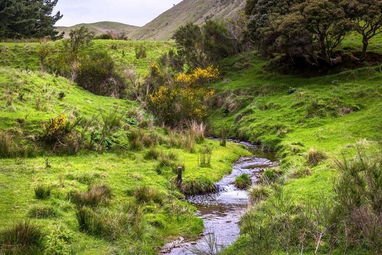 Photo of property in 174 Opaki Kaiparoro Road, Eketahuna, 4994