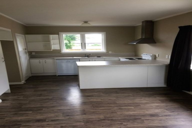 Photo of property in 56 Shamrock Street, Takaro, Palmerston North, 4412