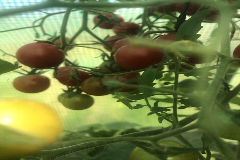 Photo of property in 2 Te Ara Karoiroa Road, Hurford, New Plymouth, 4374