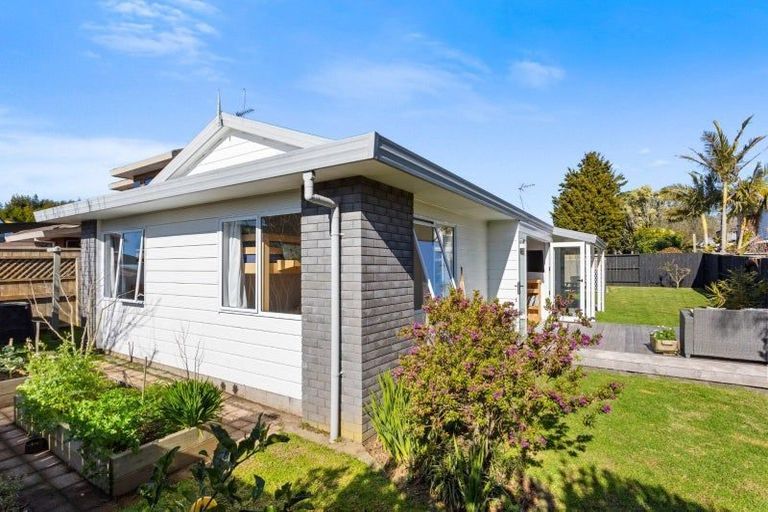 Photo of property in 10b Bayfair Drive, Mount Maunganui, 3116