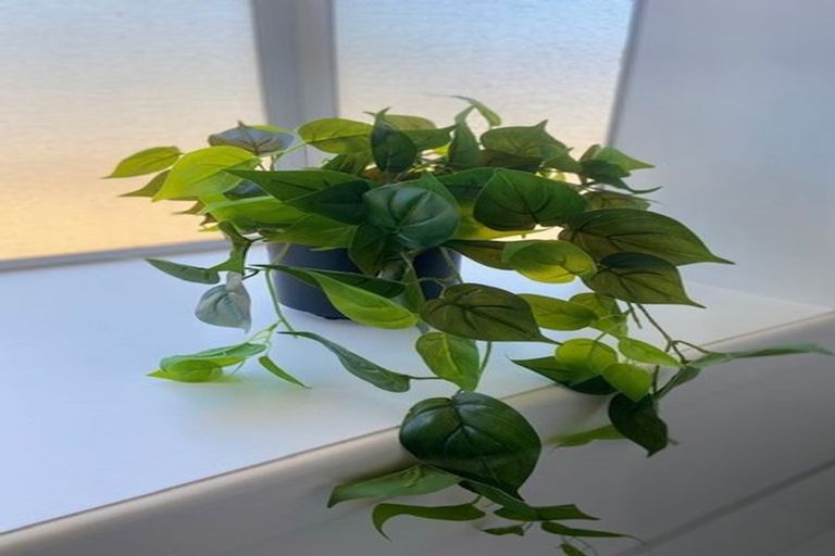 Photo of property in 44 Bevington Street, Avonhead, Christchurch, 8042