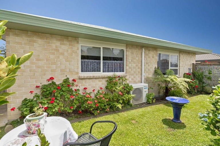 Photo of property in 61 Winchester Street, Levin, 5510