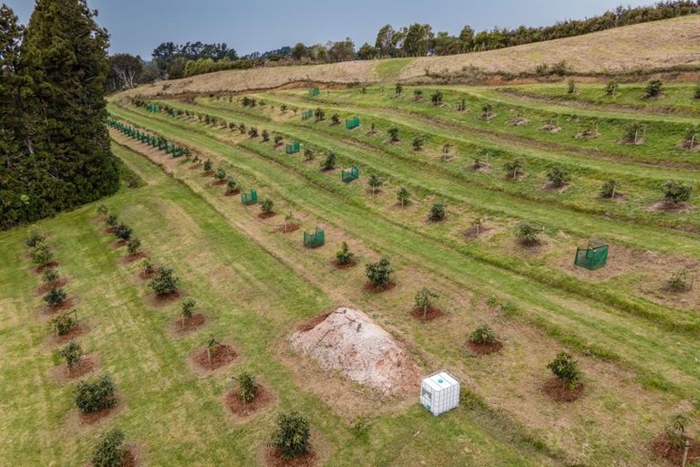 Photo of property in 54d Chard Road, Aongatete, Katikati, 3178