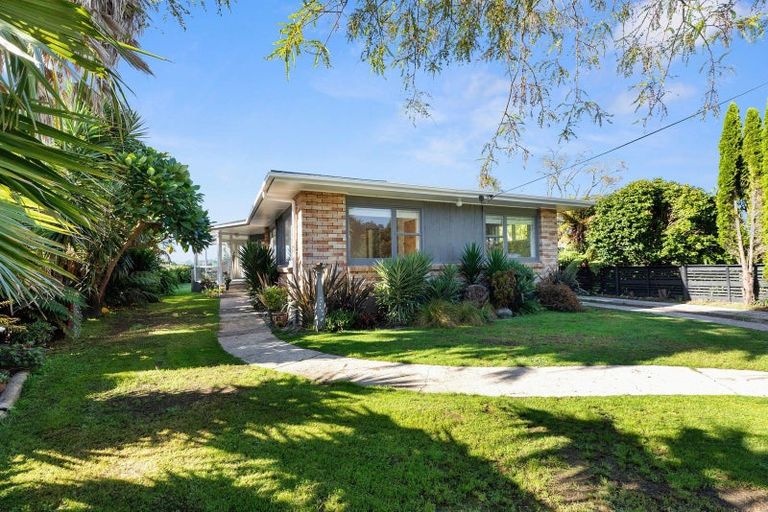 Photo of property in 224 Plummers Point Road, Whakamarama, Tauranga, 3172