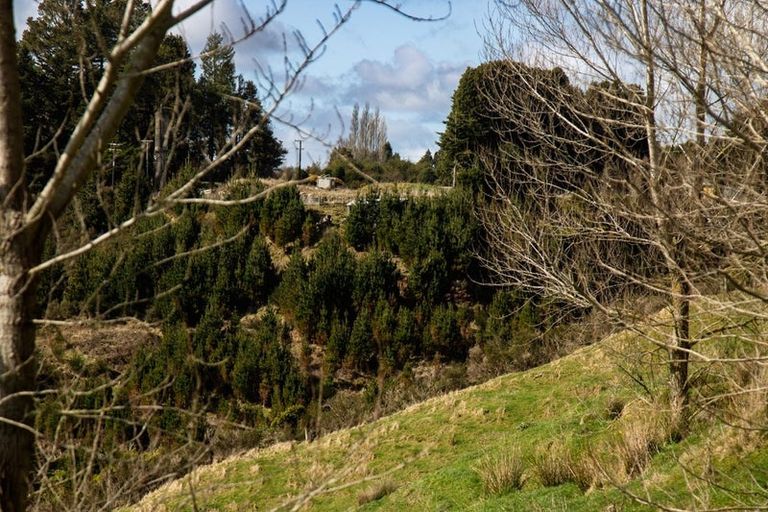 Photo of property in 81d Middle Road, Tohunga Junction, Raetihi, 4696