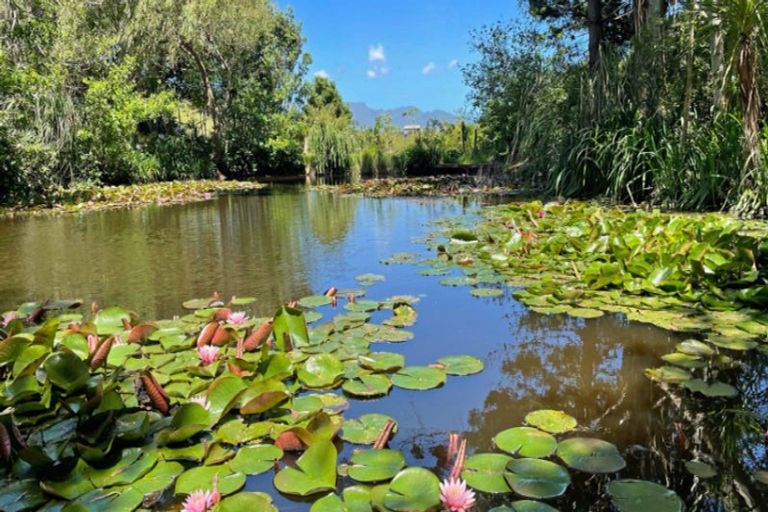 Photo of property in 91b Greenslade Road, Raglan, 3295