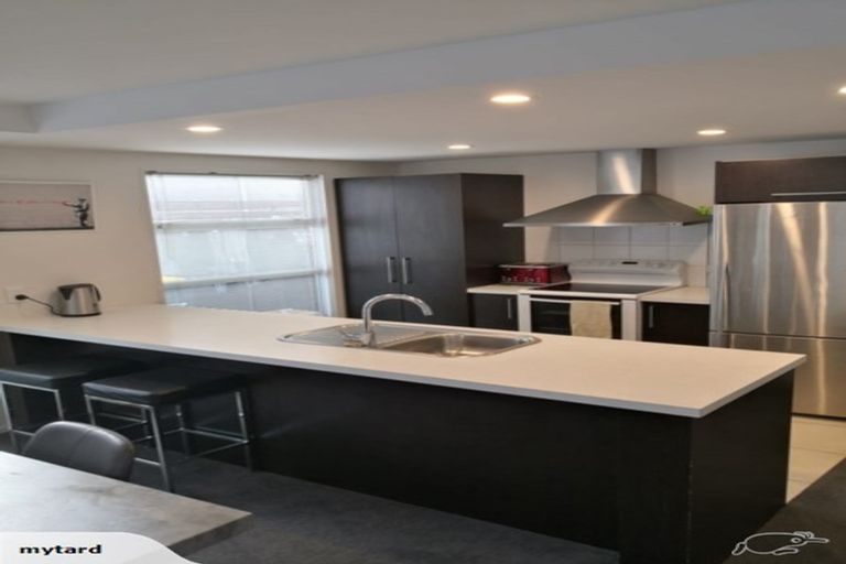 Photo of property in 484 Barbadoes Street, Edgeware, Christchurch, 8013