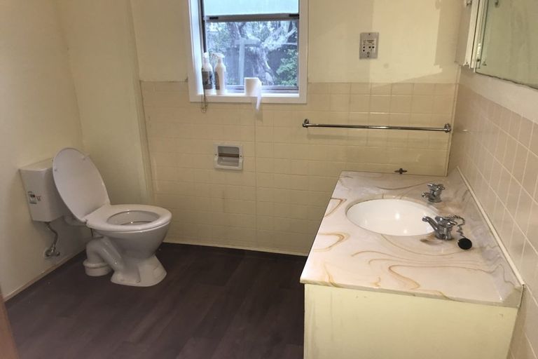 Photo of property in 23 Argyle Avenue, Levin, 5510