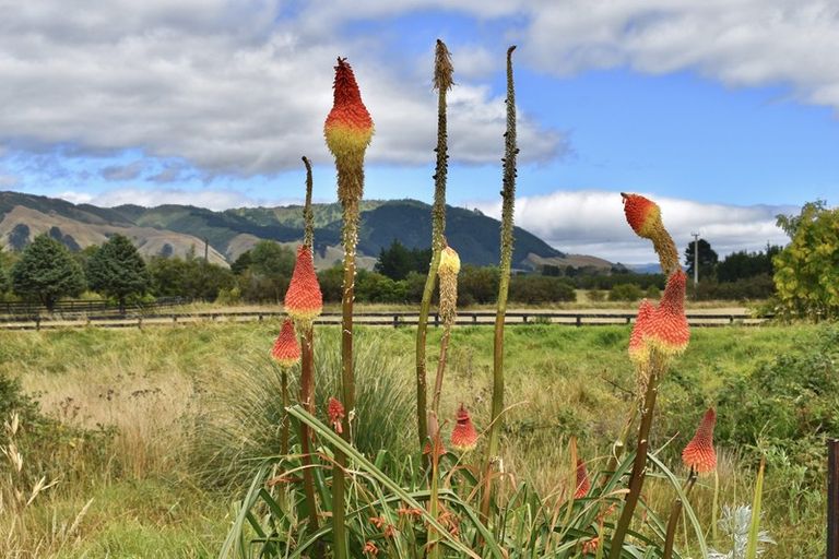 Photo of property in 12 Te Horo Beach Road, Te Horo, Otaki, 5581