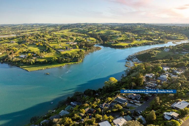 Photo of property in 45 Pohutukawa Avenue, Shelly Park, Auckland, 2014