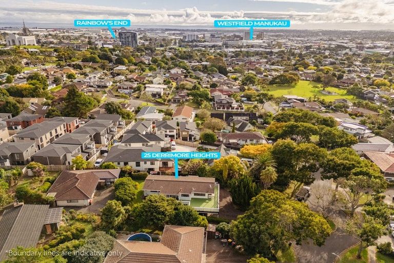 Photo of property in 25 Derrimore Heights, Clover Park, Auckland, 2019