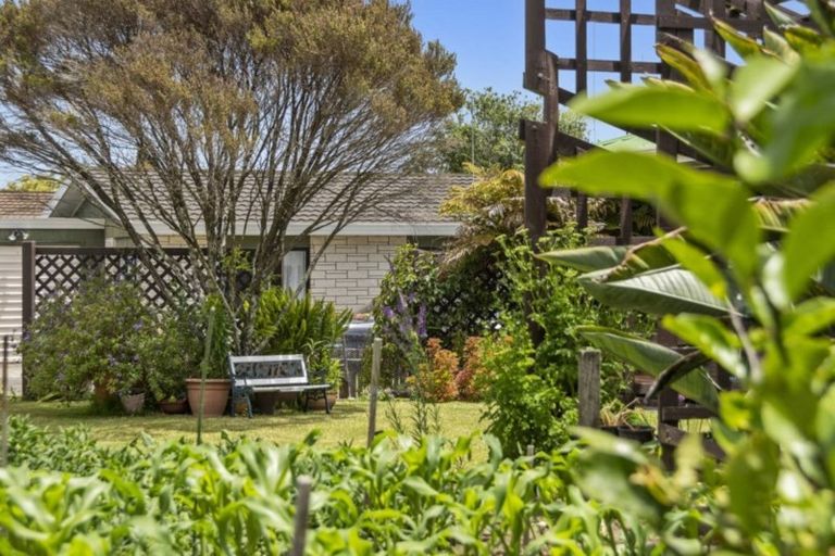 Photo of property in 94 Boucher Avenue, Te Puke, 3119
