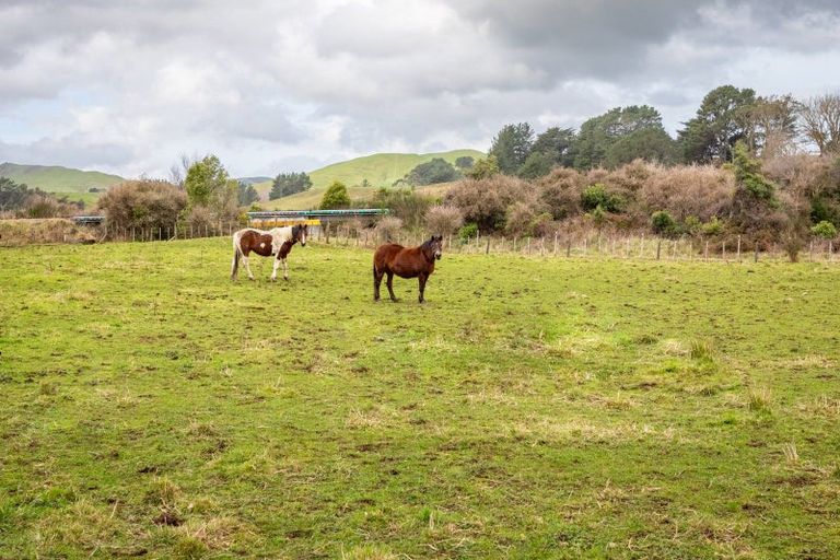 Photo of property in 100 Newman Road, Eketahuna, 4900