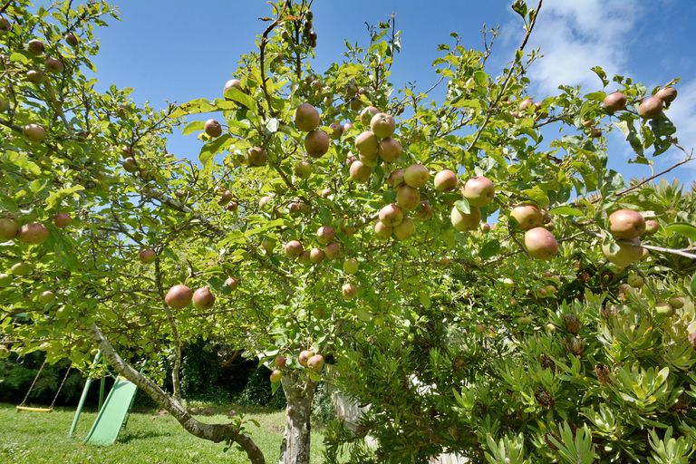 Photo of property in 493 South Road, Calton Hill, Dunedin, 9012