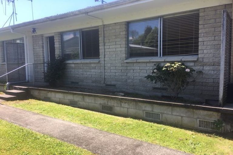 Photo of property in 2/17 Ruru Crescent, Putaruru, 3411