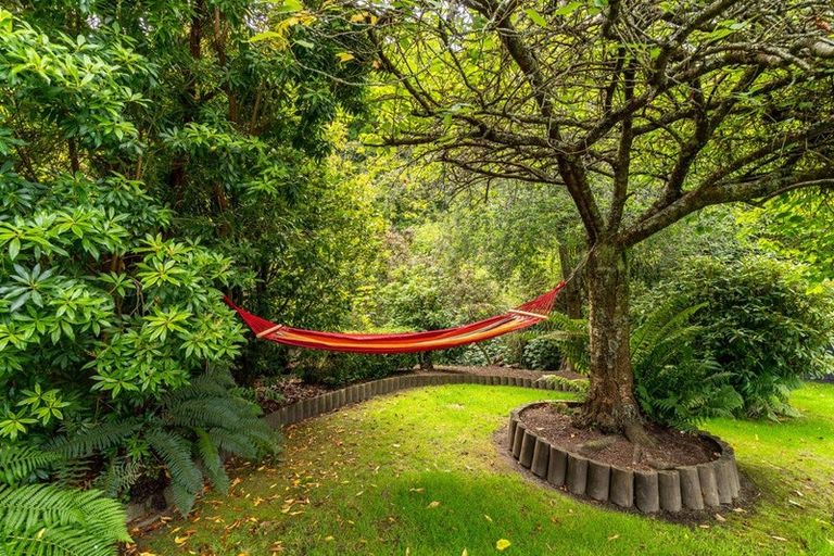 Photo of property in 84 Glenross Street, Glenross, Dunedin, 9011