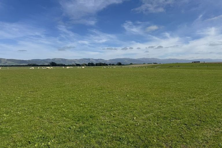 Photo of property in 263 Molloys Road, Waimate, 7980