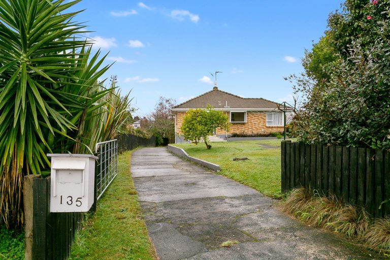 Photo of property in 135 Tirau Street, Putaruru, 3411