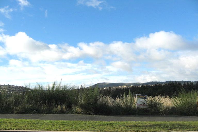 Photo of property in 26 Leithton Close, Glenleith, Dunedin, 9010