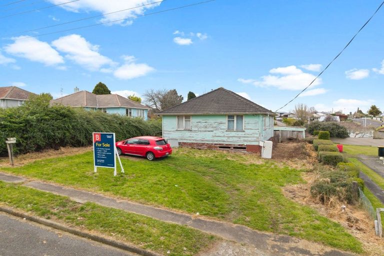 Photo of property in 24 Charles Crescent, Putaruru, 3411