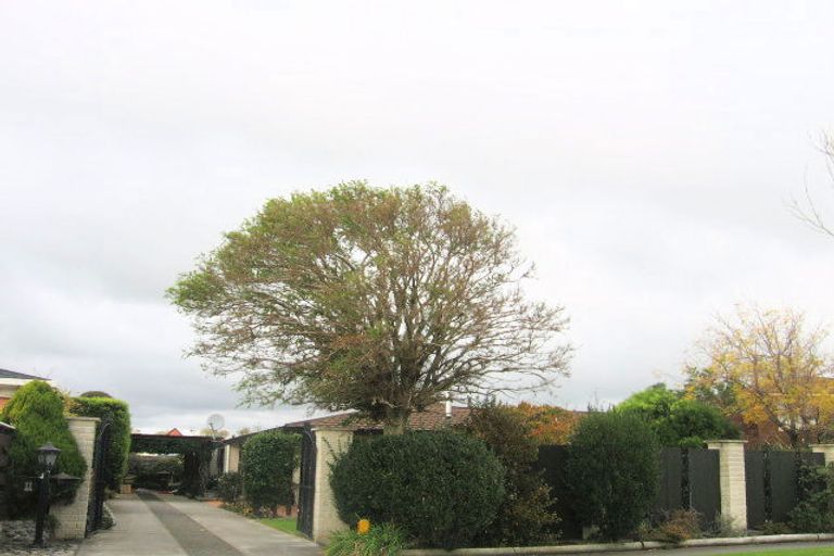 Photo of property in 11 Chadwick Place, Highbury, Palmerston North, 4412