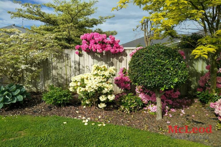 Photo of property in 10 Westcott Place, Allenton, Ashburton, 7700