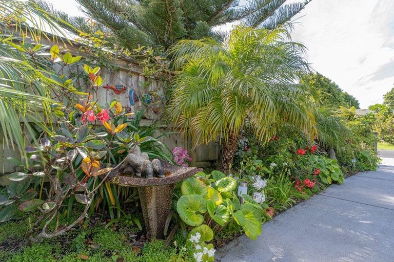 Photo of property in 36 Oyster Drive, Cooks Beach, Whitianga, 3591