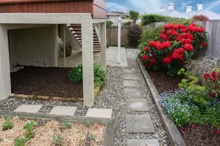 Photo of property in 55 Elgin Road, Mornington, Dunedin, 9011