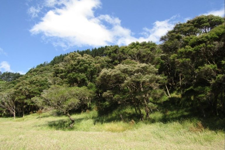 Photo of property in 635 Whakatomotomo Road, Pirinoa, Featherston, 5772